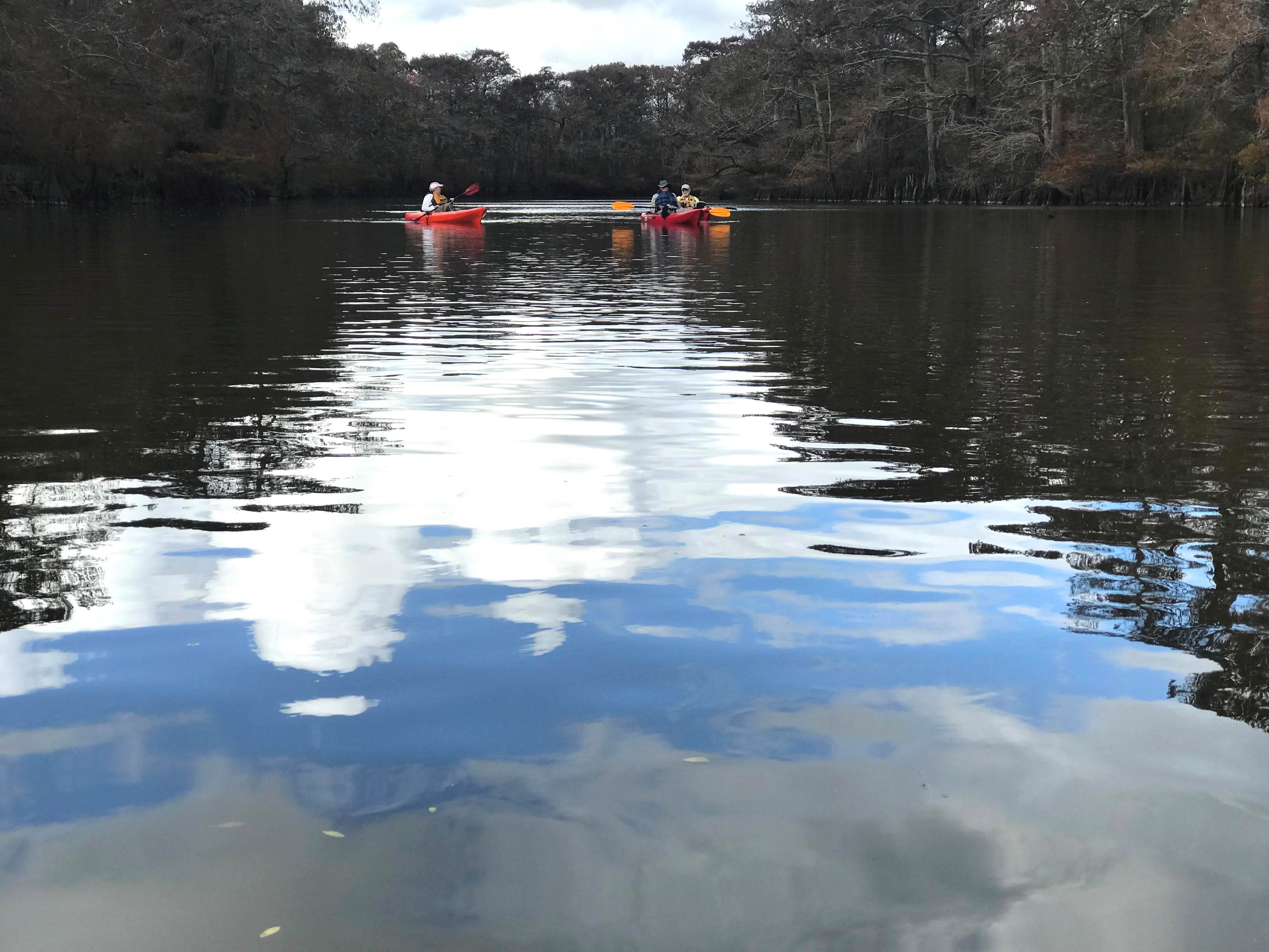 Reflections1 by Alan Bernstein