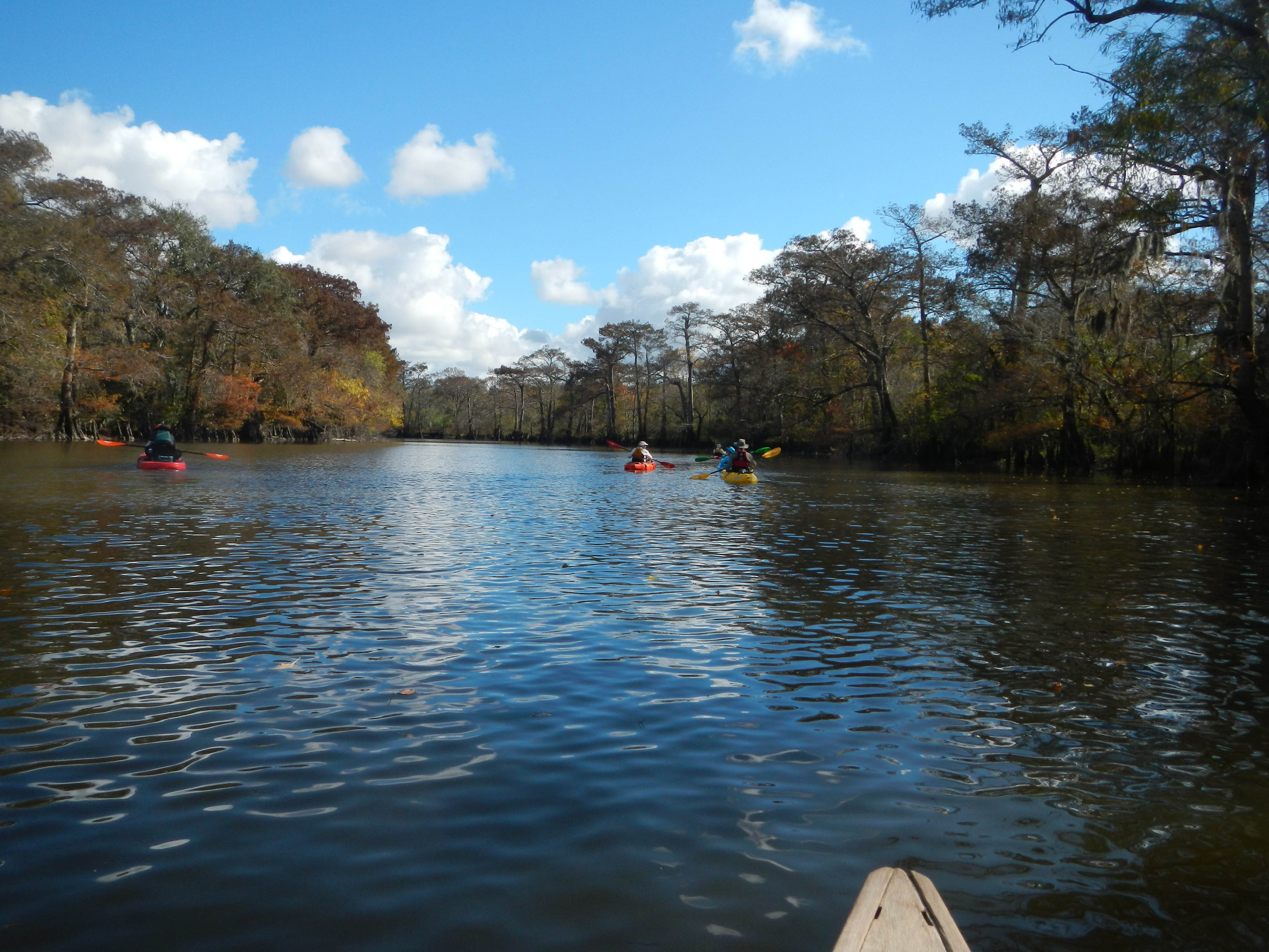 Reflections2 by Linda Shead