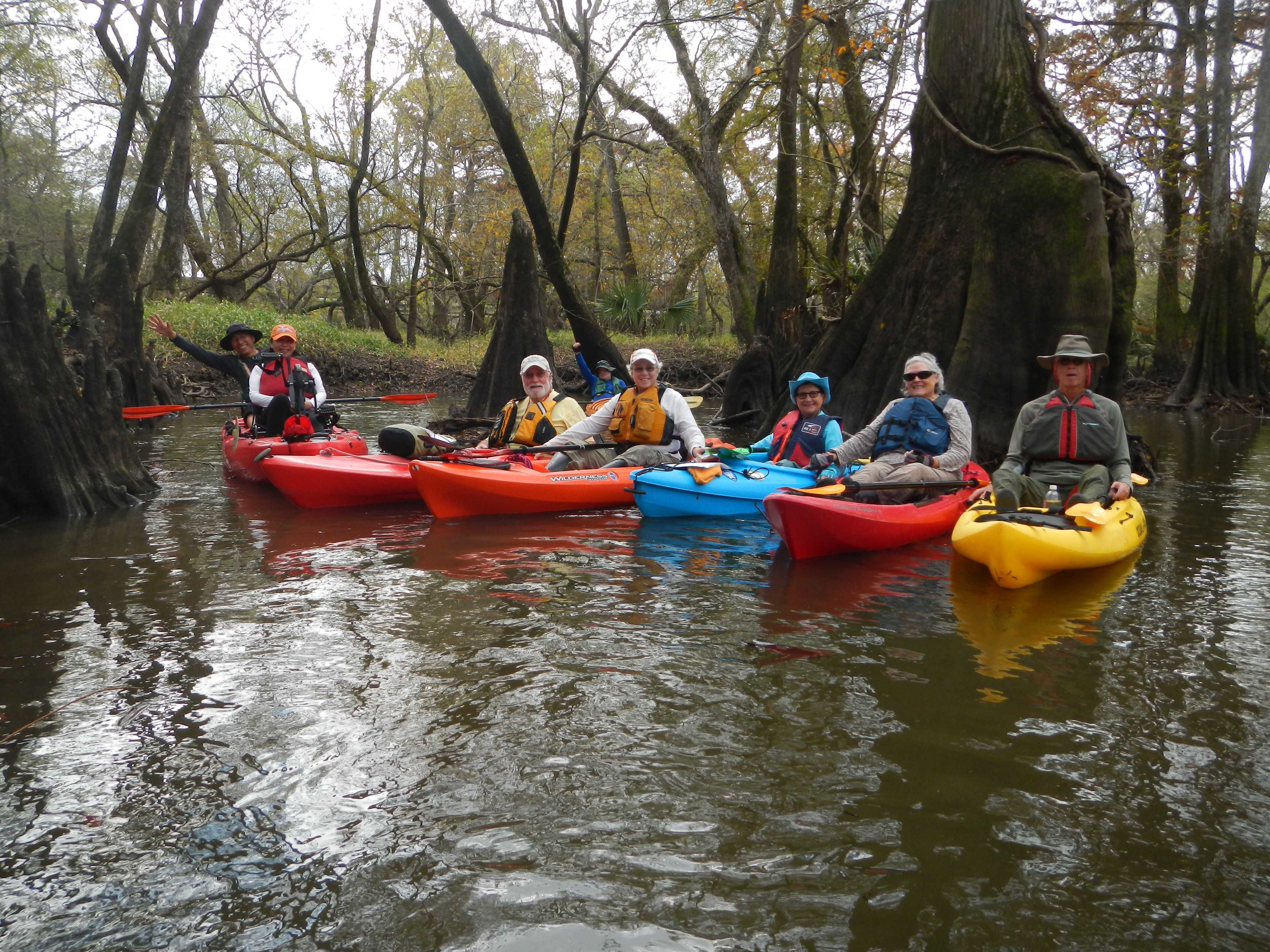 Upstream Turnaround by Linda Shead