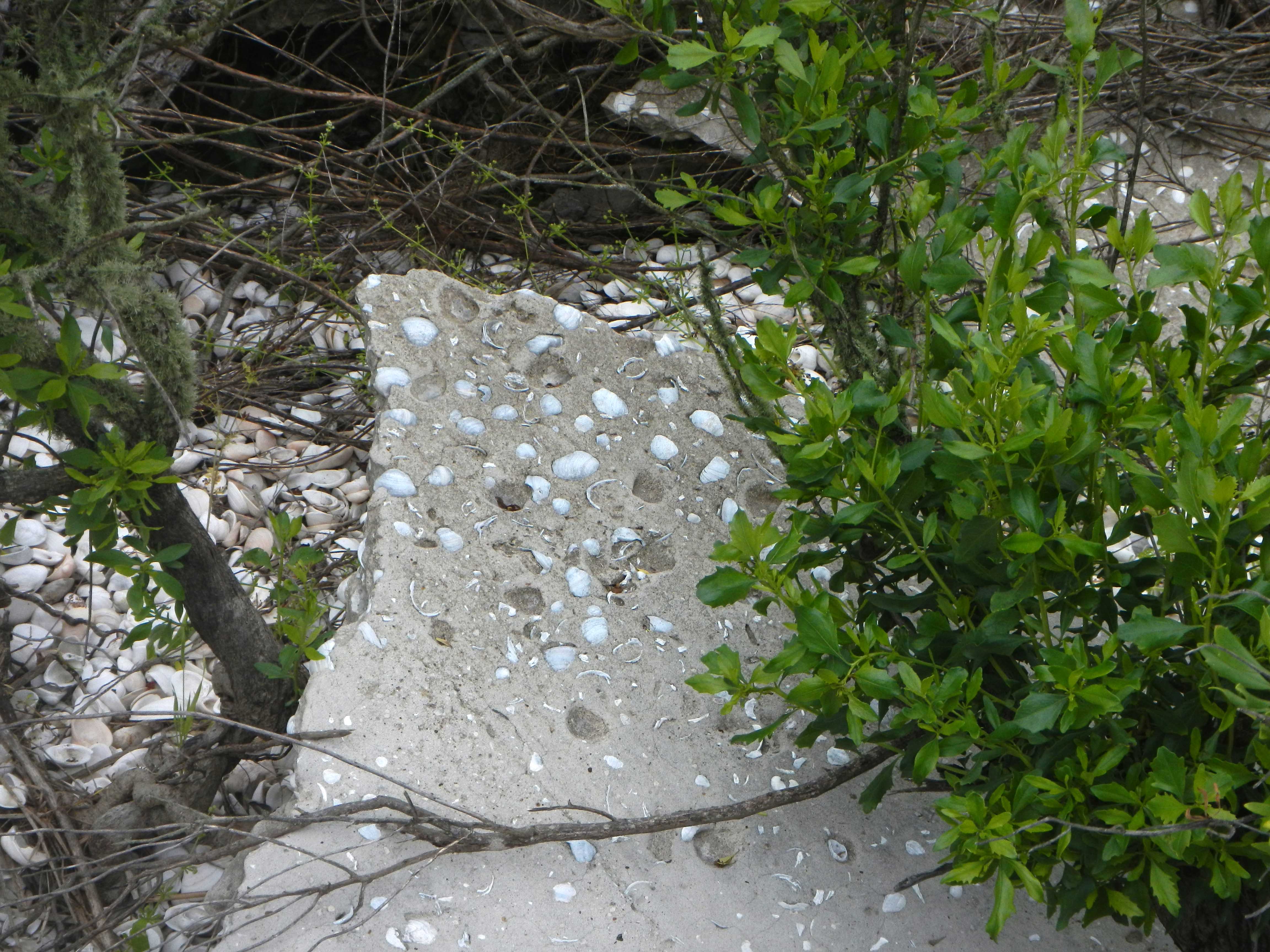 Large Sandstone Aggregate