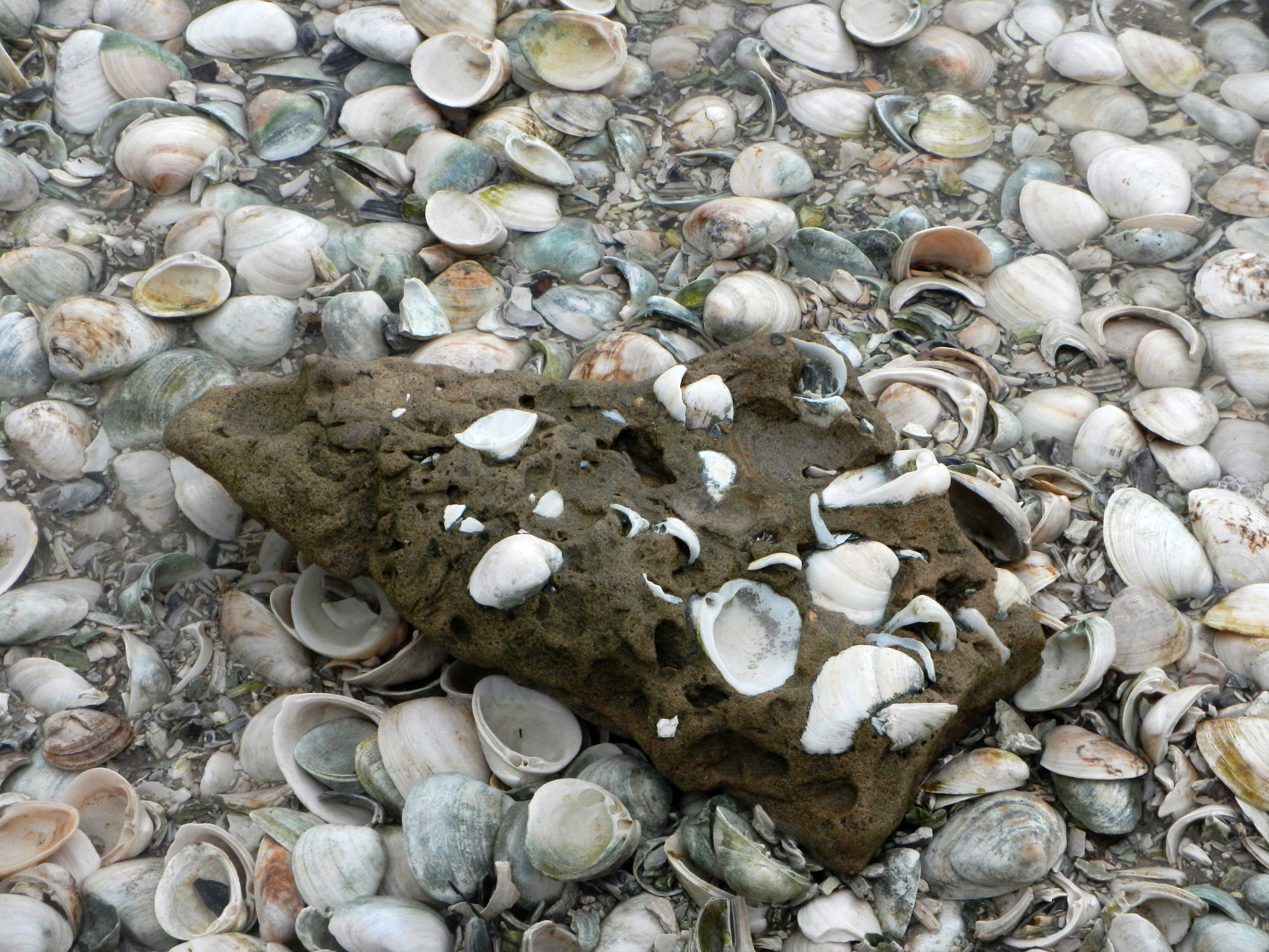 Small Sandstone Aggregate