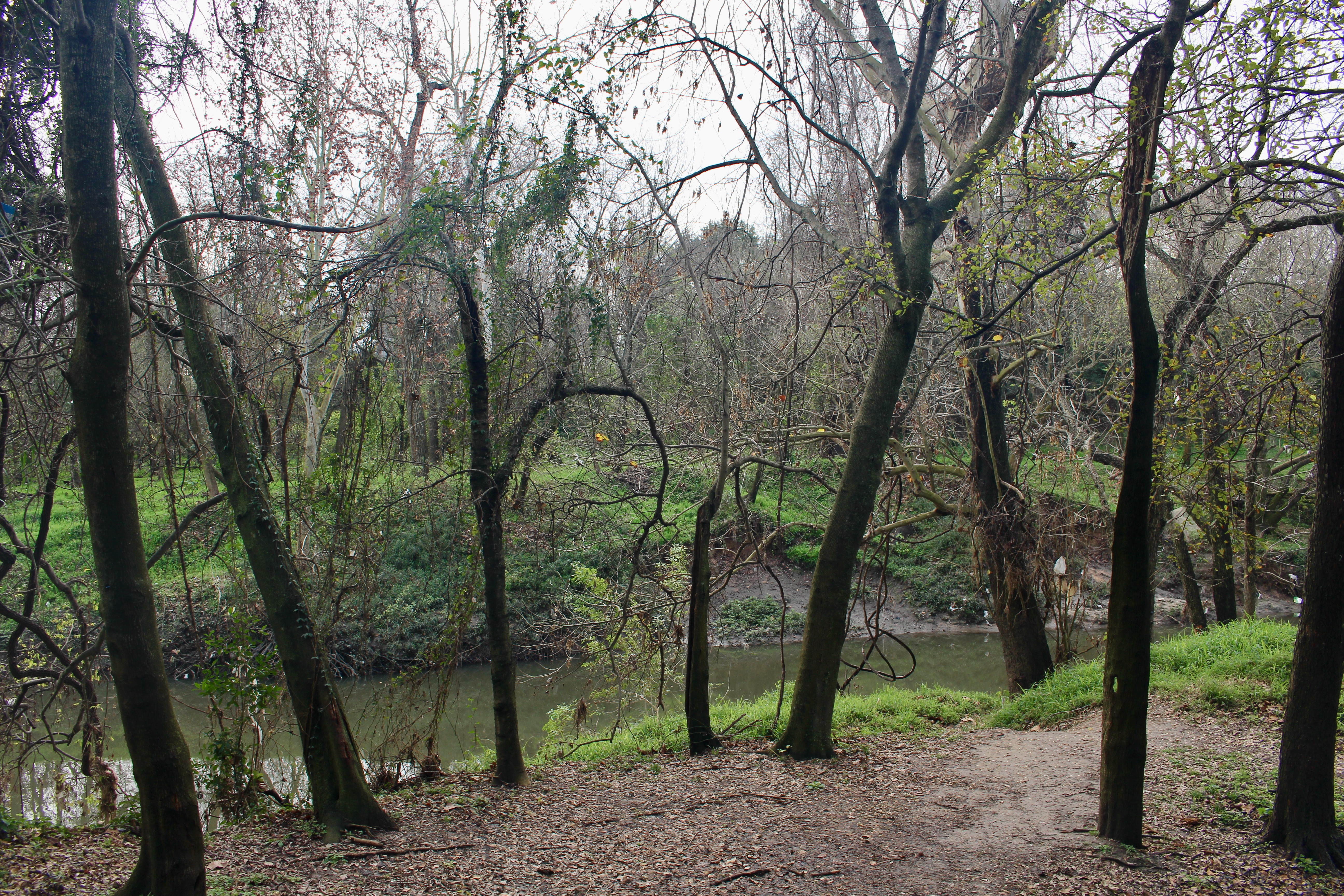 White Oak Parkway