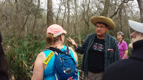 The Big Tree, Alligators, and Birds