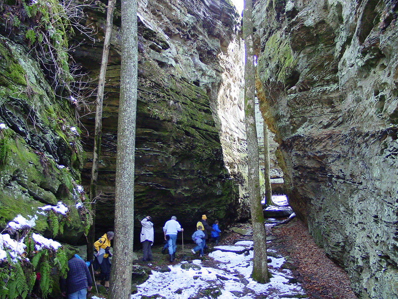 Panther Den Wilderness