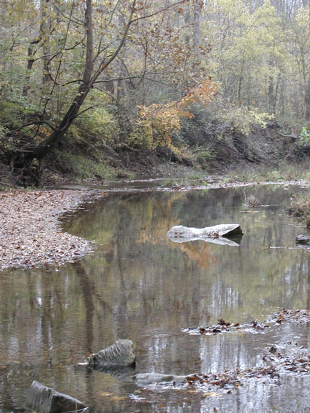 Clear Springs Wilderness