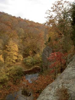 Lusk Creek Wilderness