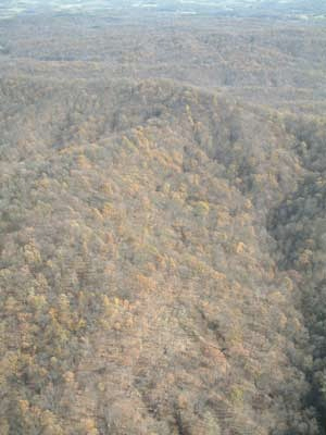 illinois wilderness