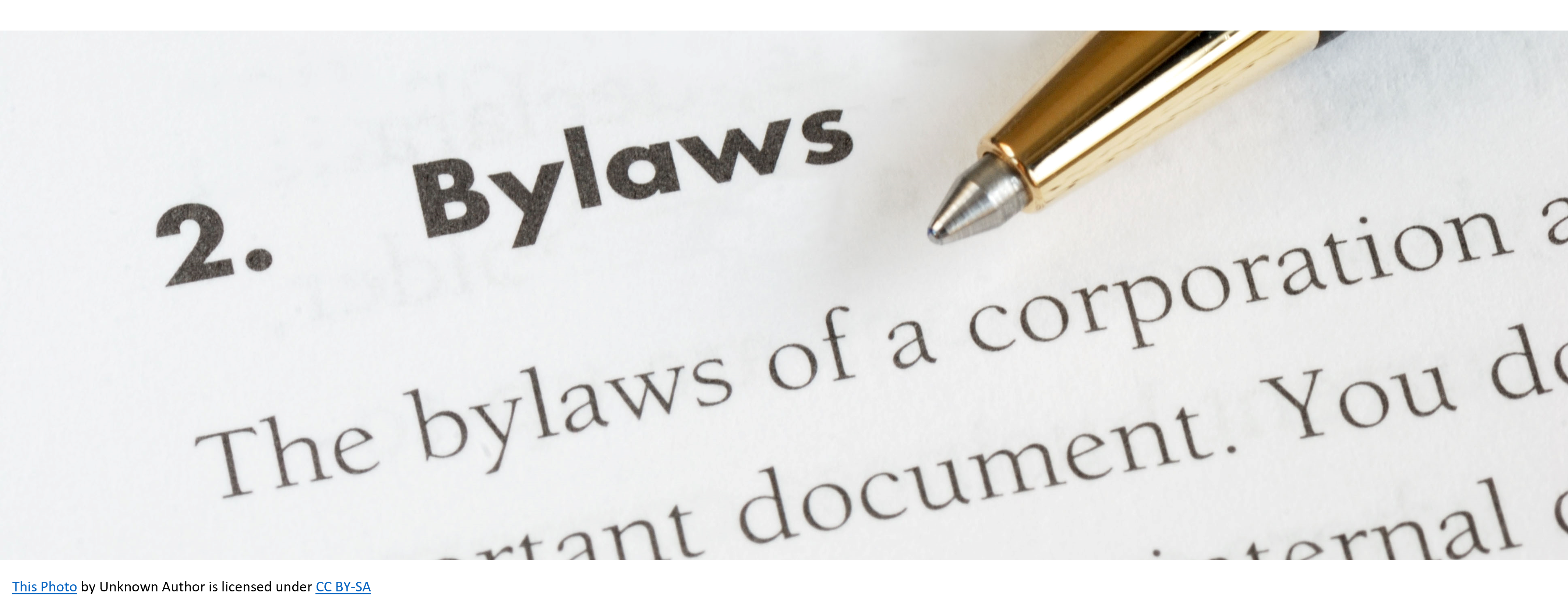 Bylaw - part of a document