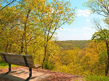 bench overlooking autumn trees