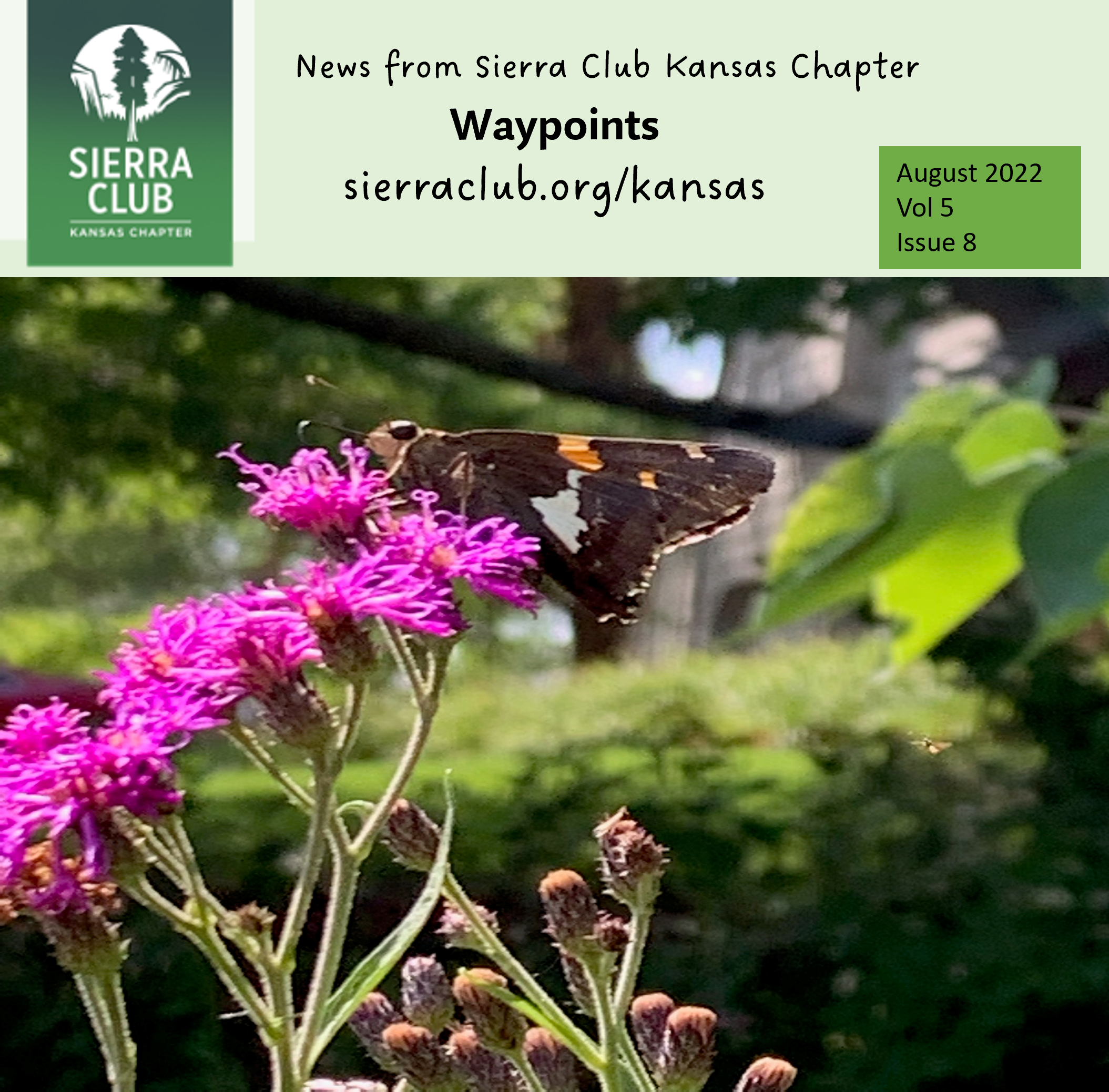 Waypoints August 2022 ironweed and silver spotted skipperue of liberty