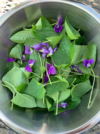 bowl of violet blossoms and leaves