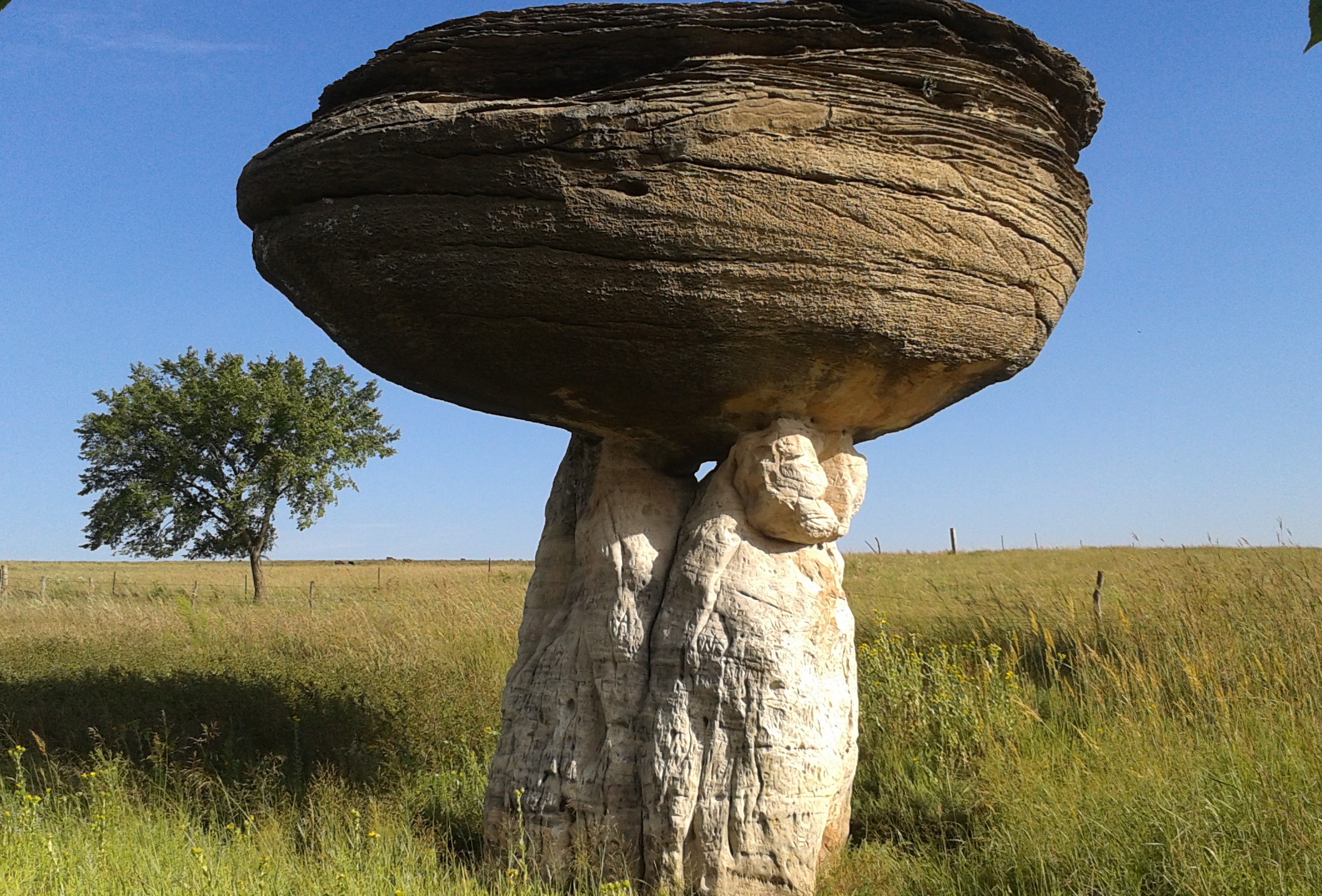 mushroom shaped rock