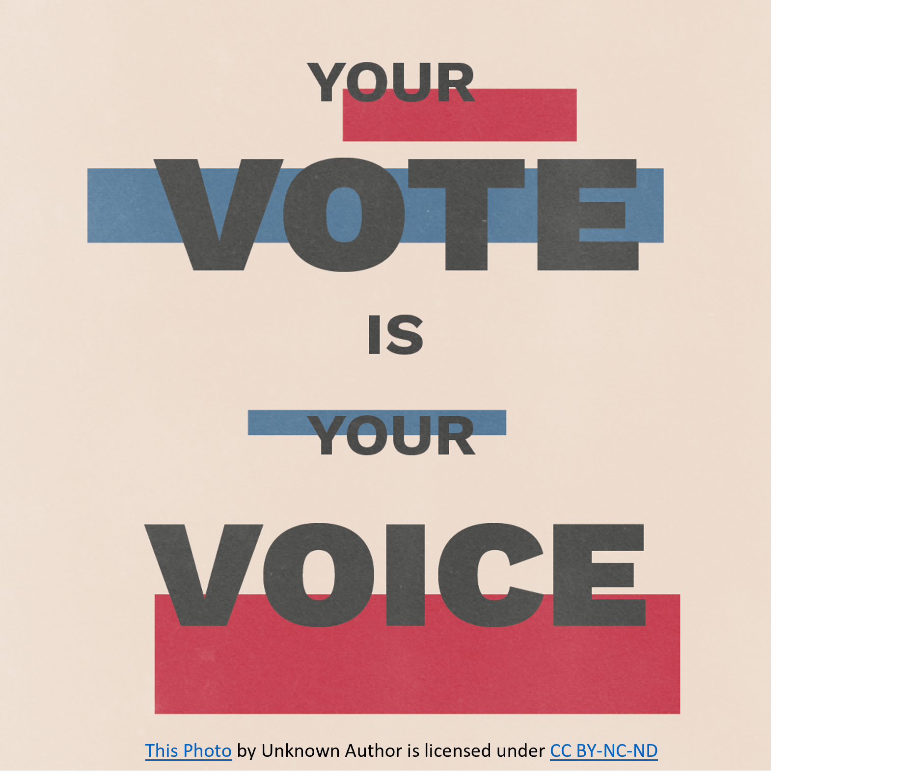 Your vote is your voice