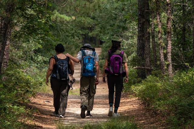 3 hikers with backpacks in woods