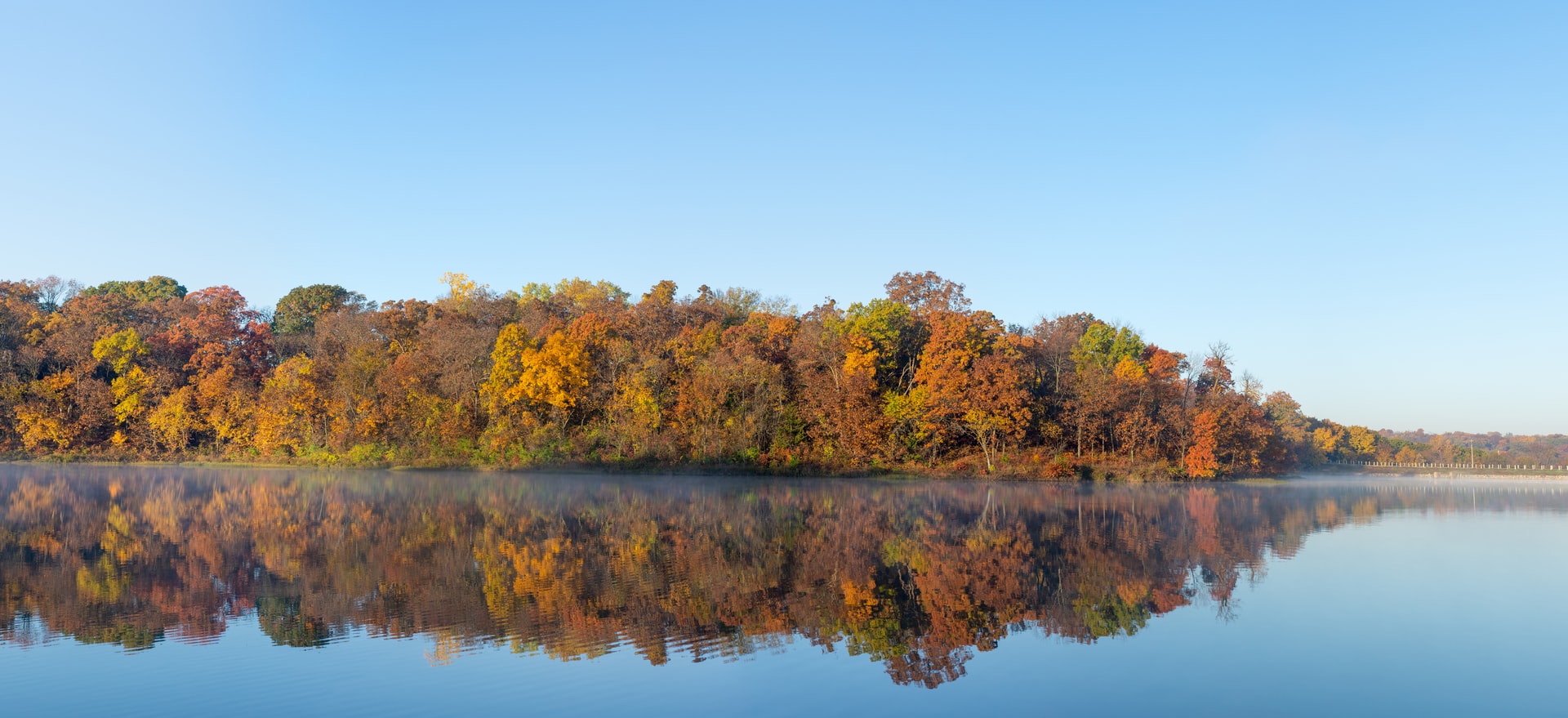 Kansas river and fall trees next to river bank