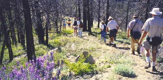 Hikers on Condor Group Hike