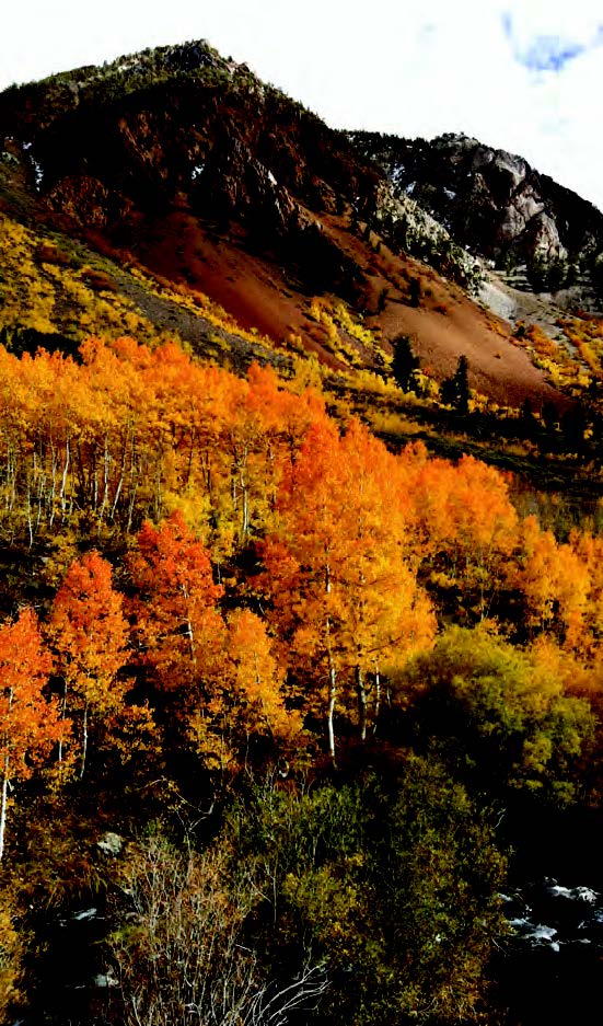 Bishop Creek Drainage, courtesy Claus Engelhardt
