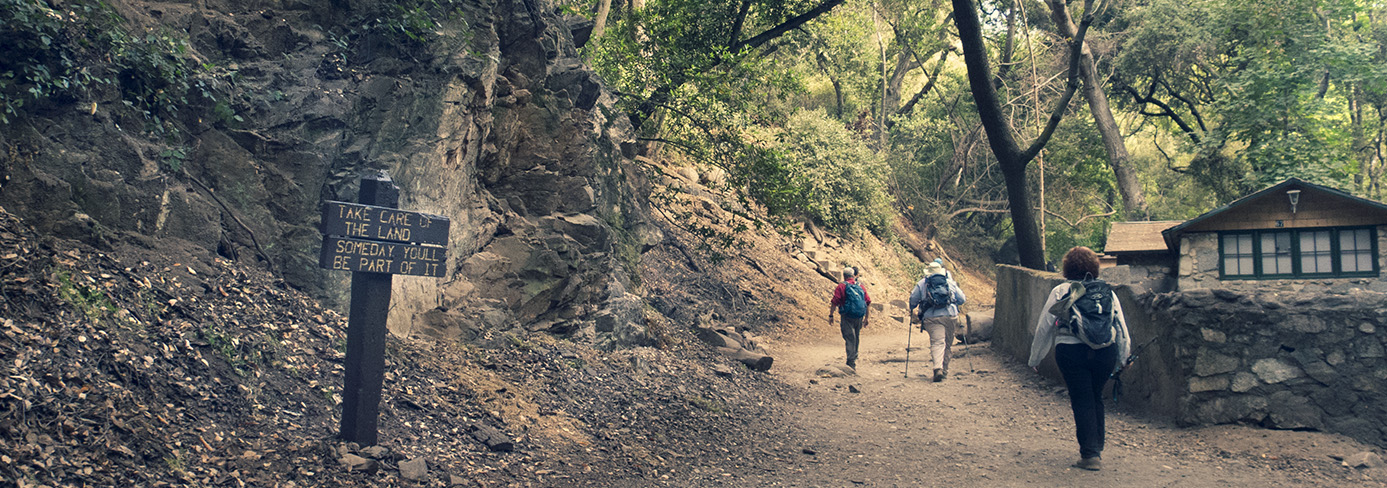 Hikers on forest trail