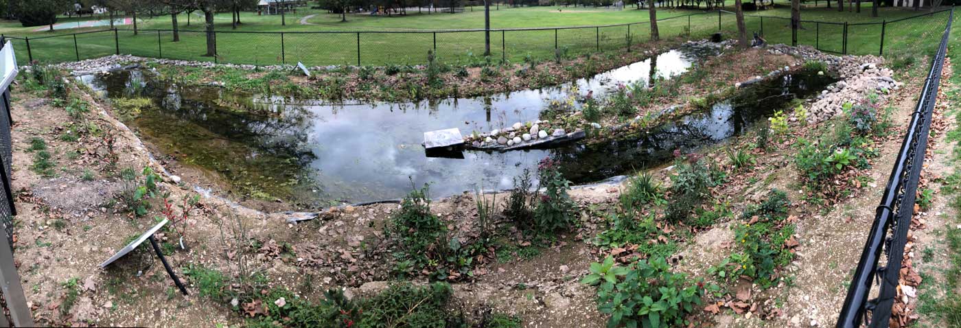 Panorama of the wetland