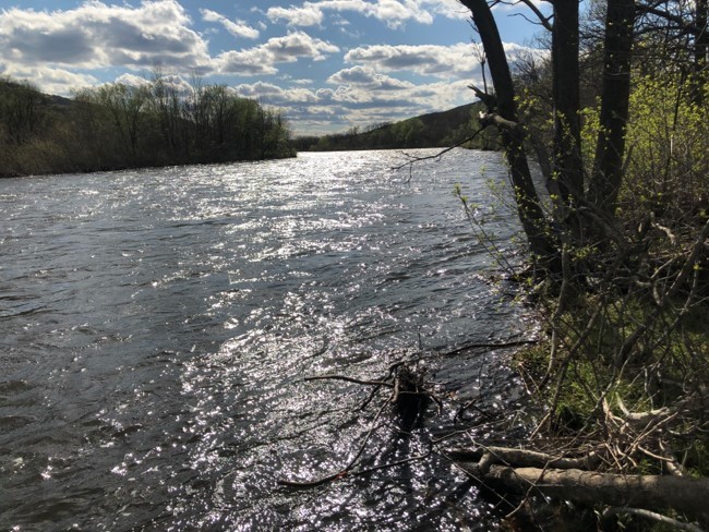 Lehigh River with probe