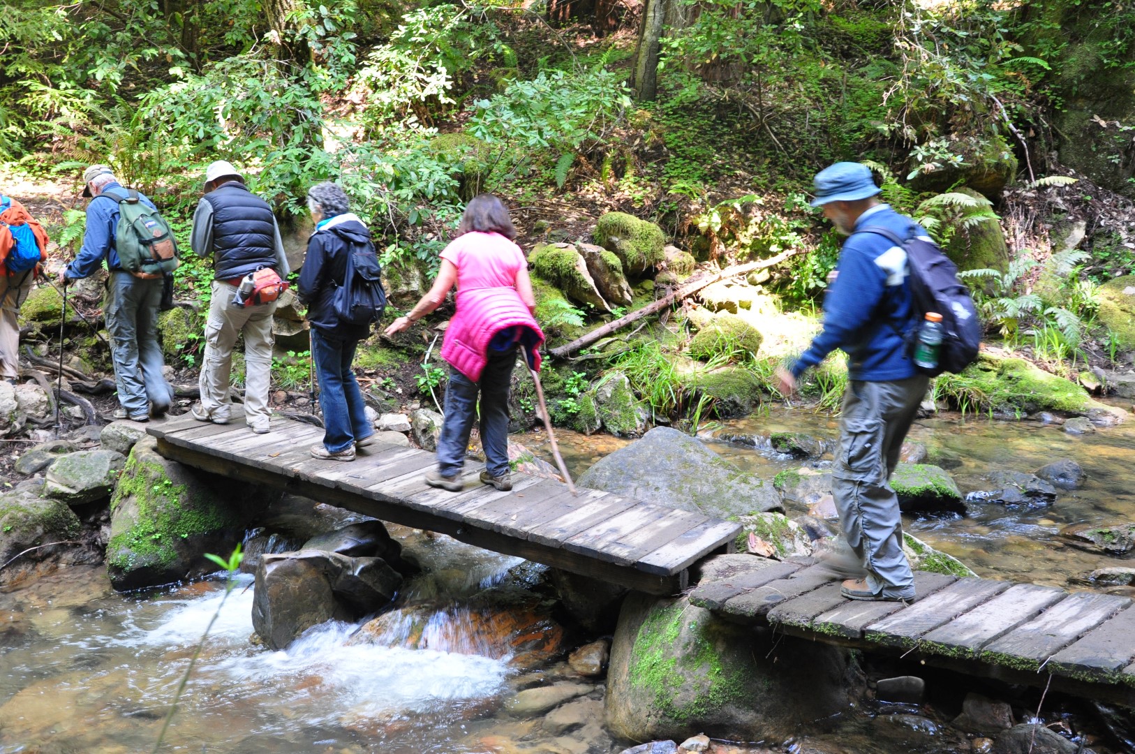 San Mateo Hike Section Outing