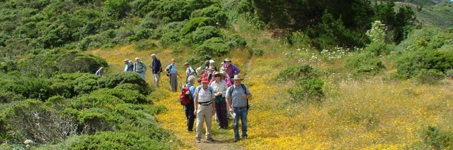 SCB Hike