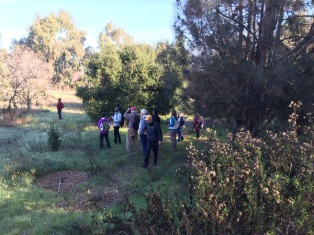 Ulistac Nature Area   