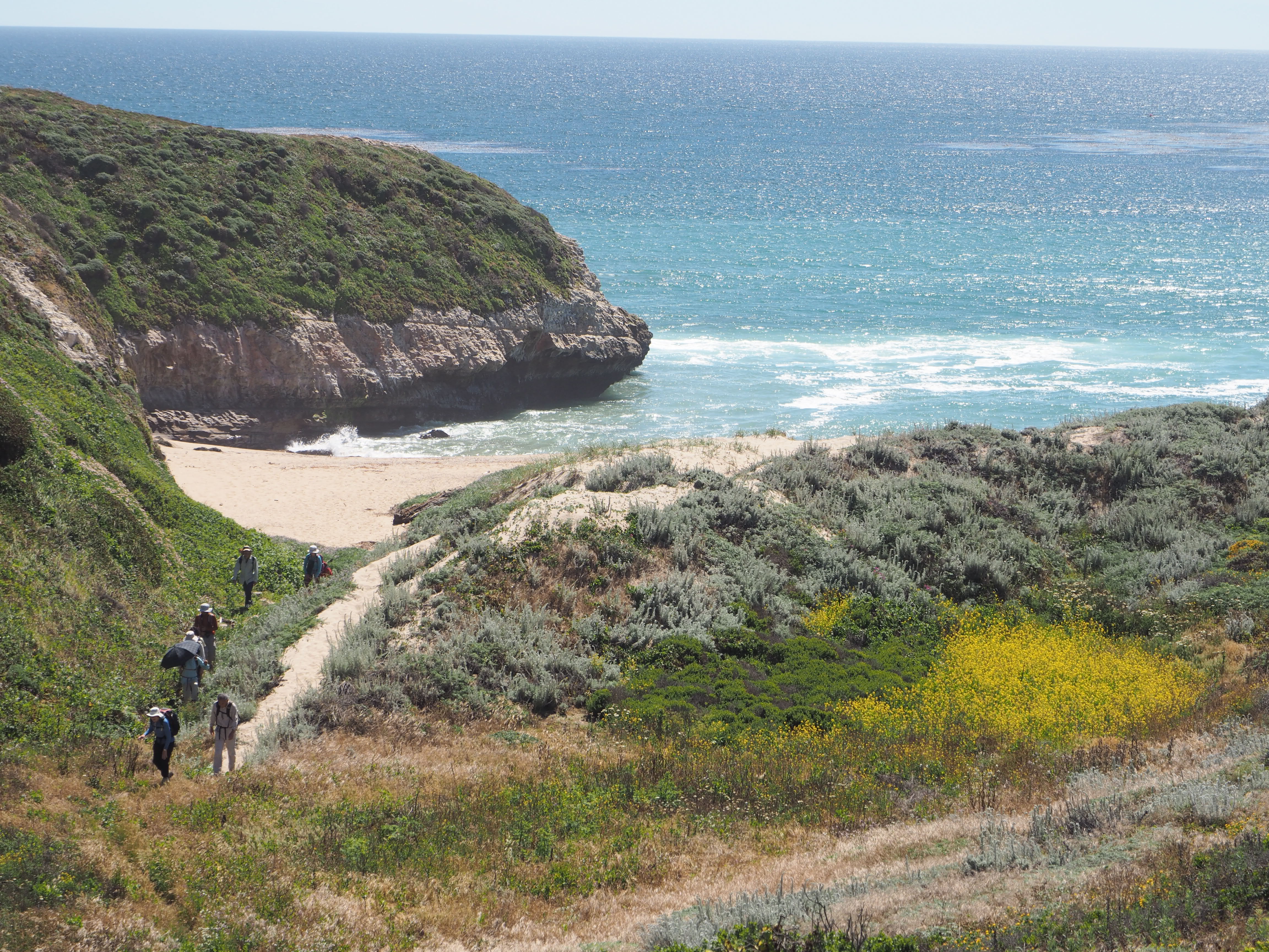 Wilder Ranch Beach Hike- Humpback Whales!