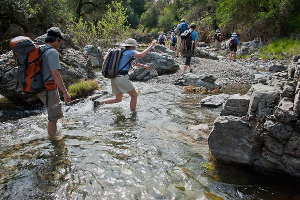Henry Coe State Park Creek Crossing
