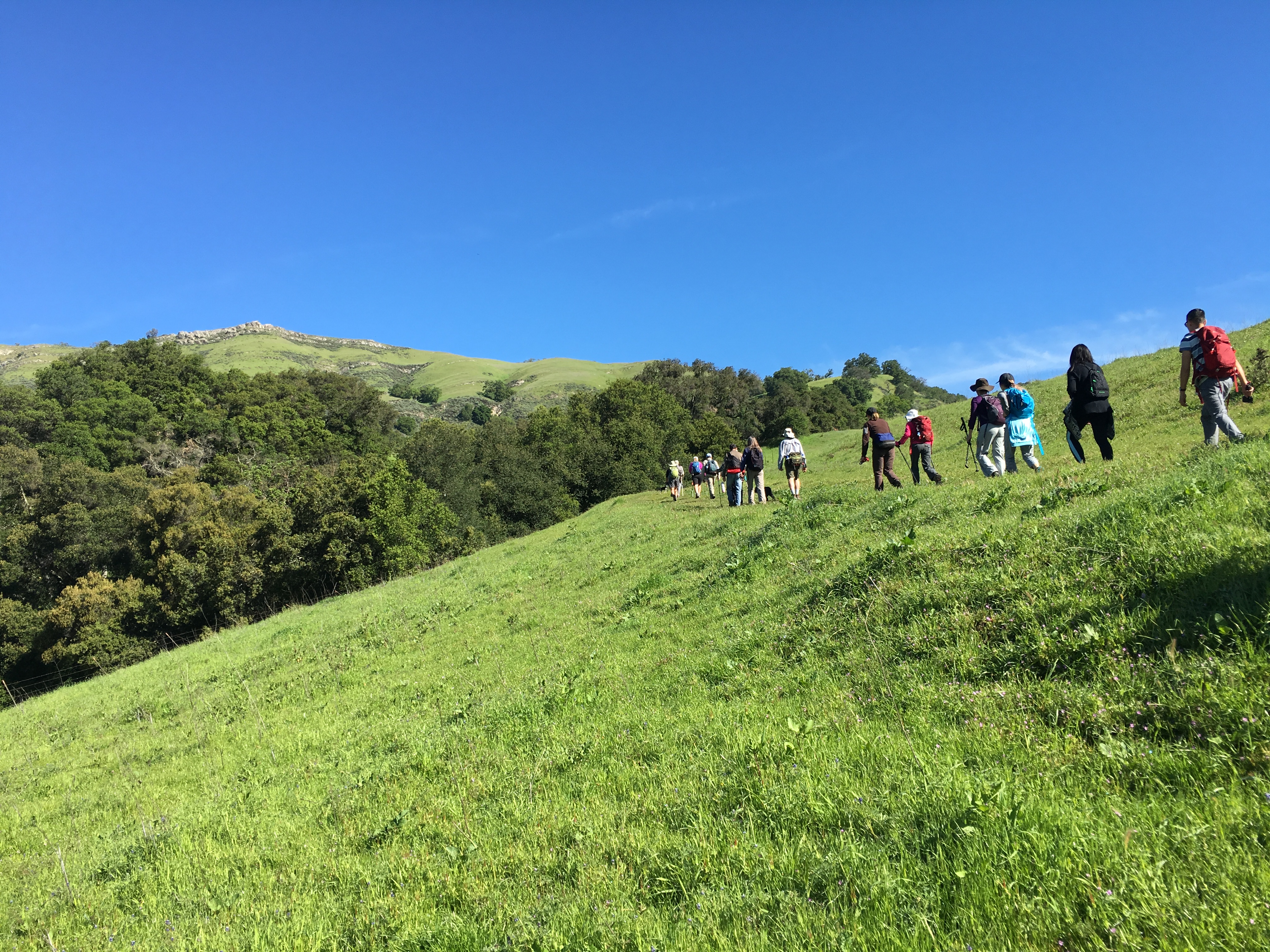 Black Mountain Hiking Hike