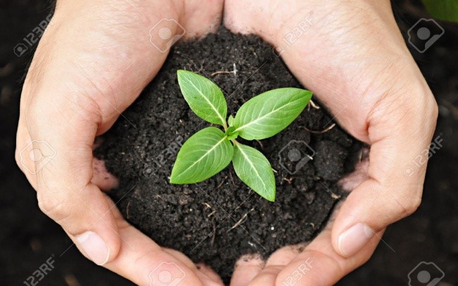 http://previews.123rf.com/images/kritchanut/kritchanut1307/kritchanut130700179/21014315-Hands-holding-young-plant-with-soil-Stock-Photo-nature.jpg