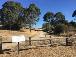 Bedwell Bayfront Park is one of four parks in an herbicide-free pilot program in 2016. Photo: Diana Stark