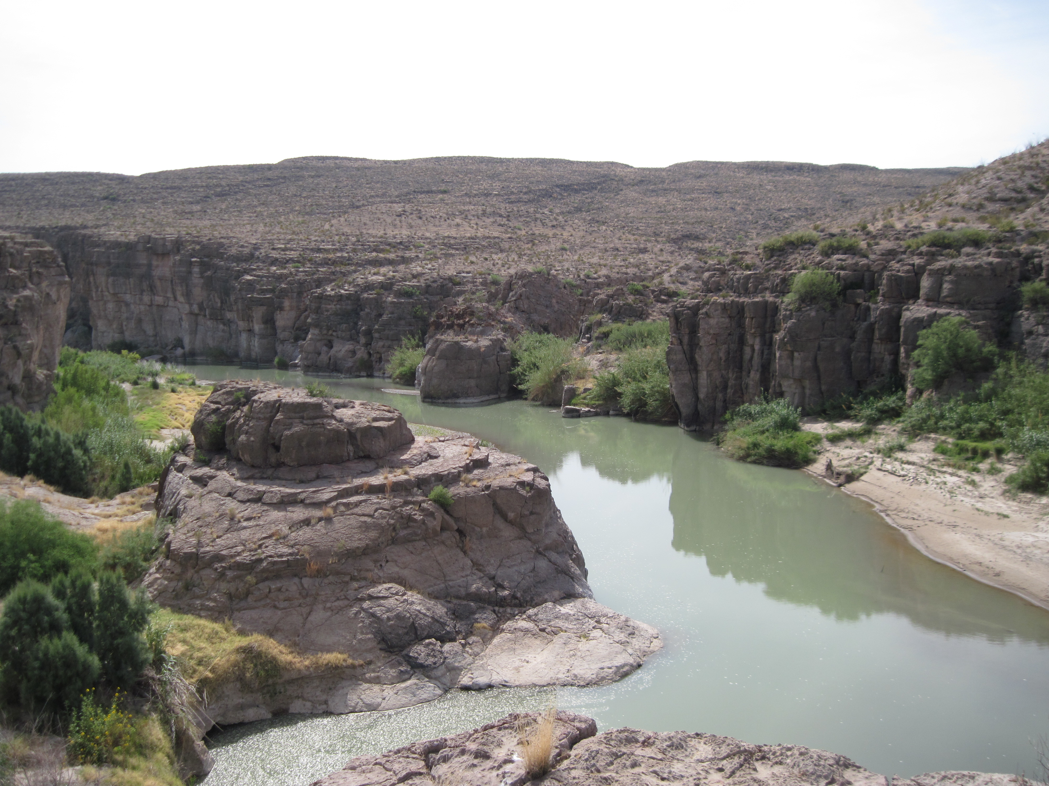 Big Bend Restoration Outing, 2014