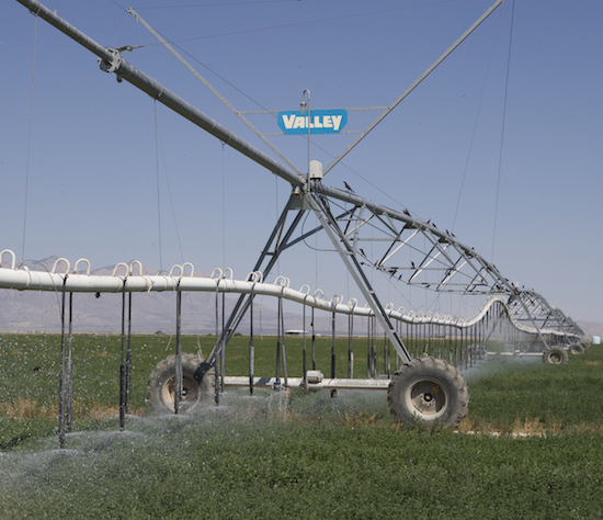 South Texas Irrigation PC: Al Braden