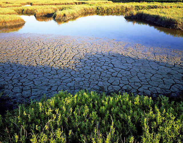 Indianola Salt Marsh PC: Charles Kruvand