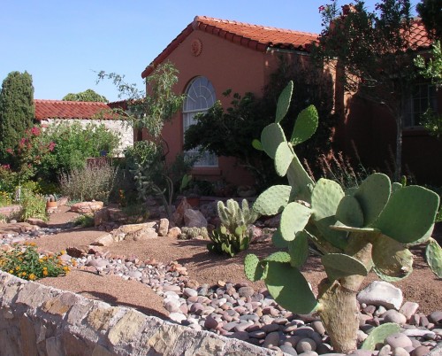El Paso Xeriscaping PC: Marie Gilot