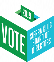 BoD Elections
