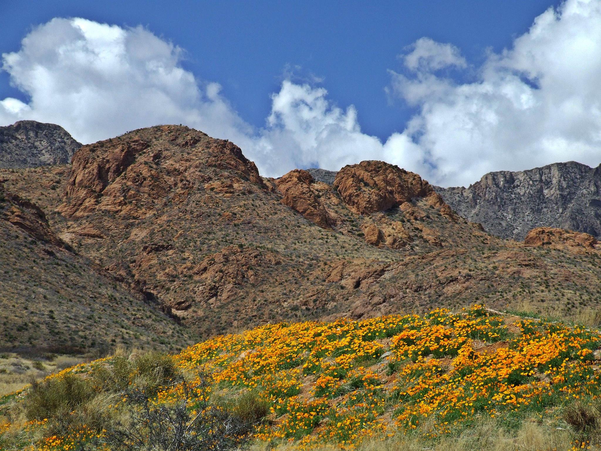 Castner Range