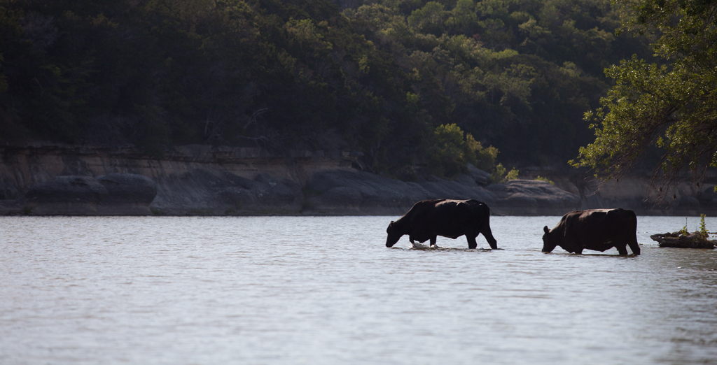 Brazos River - Gabriel Cristover Perez