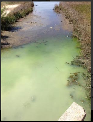 Galveston Cloudy Water 