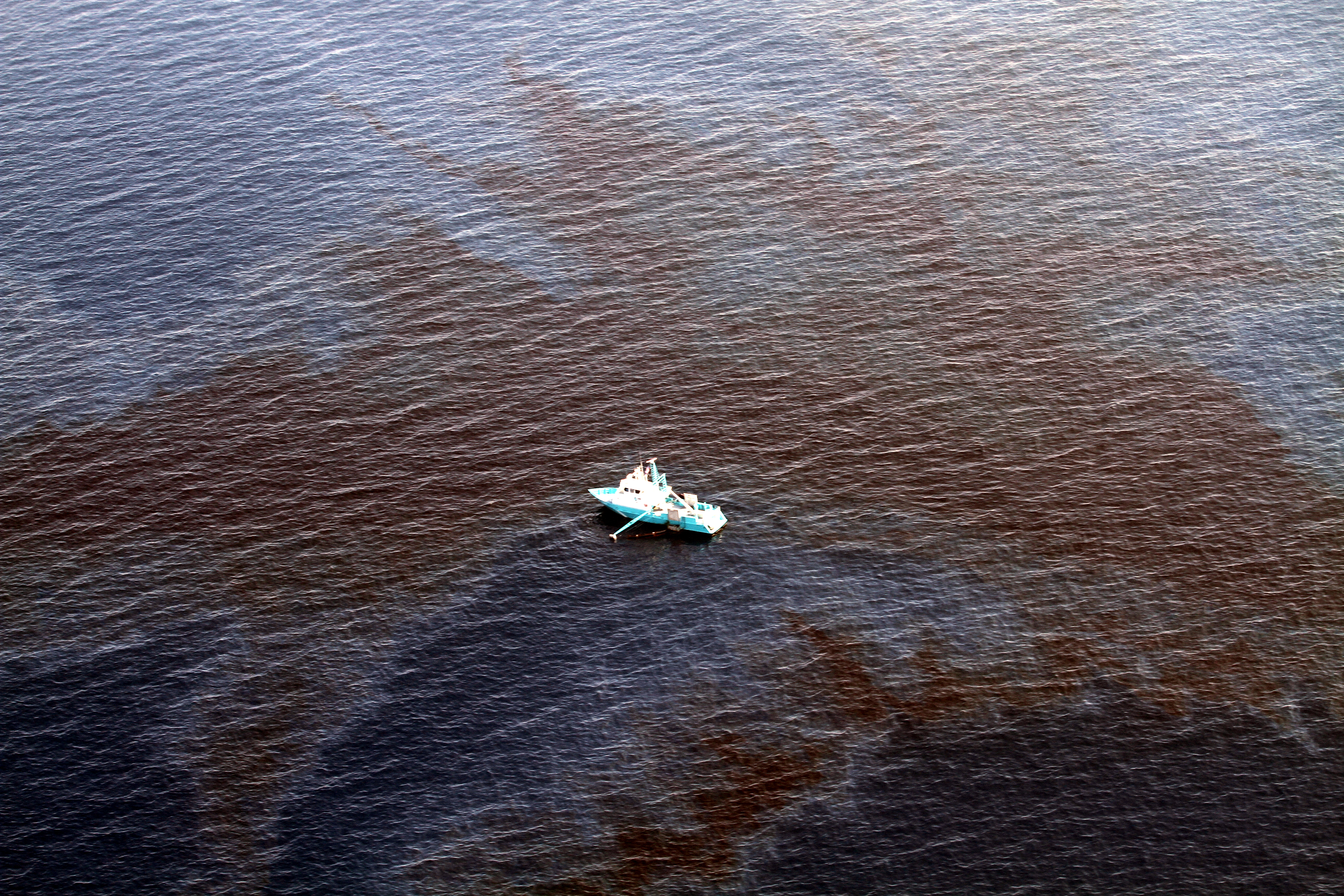 Gulf Restoration Network image