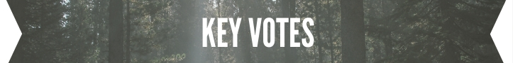 Key Votes