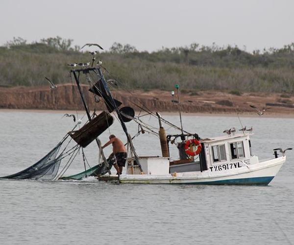 Commercial fisherman, Brownsville, Aug 2015