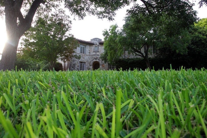 Lawn