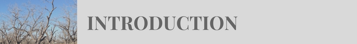 Introduction