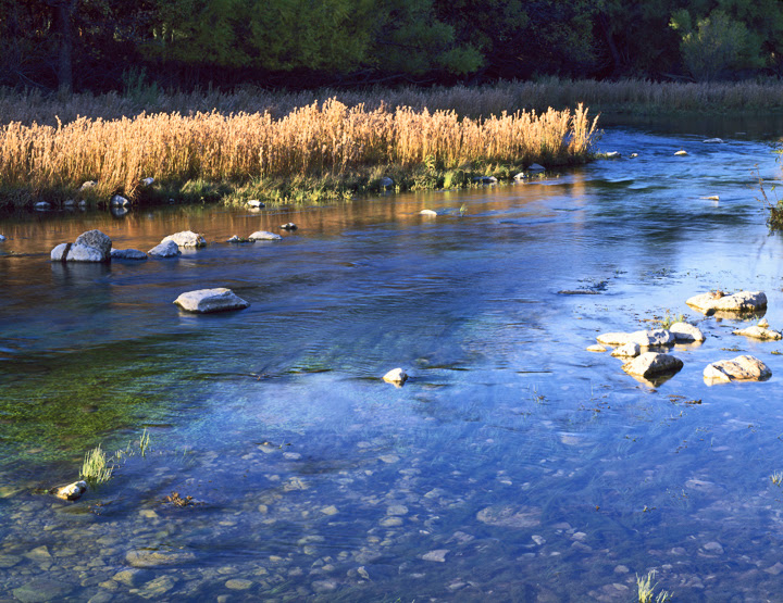 Texas Flowing Creel