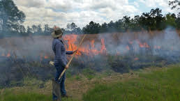 Marysee Prairie prescribed burn
