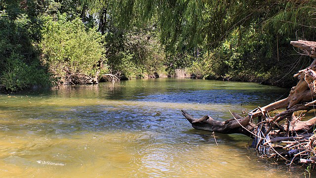 Onion Creek in Del Valle