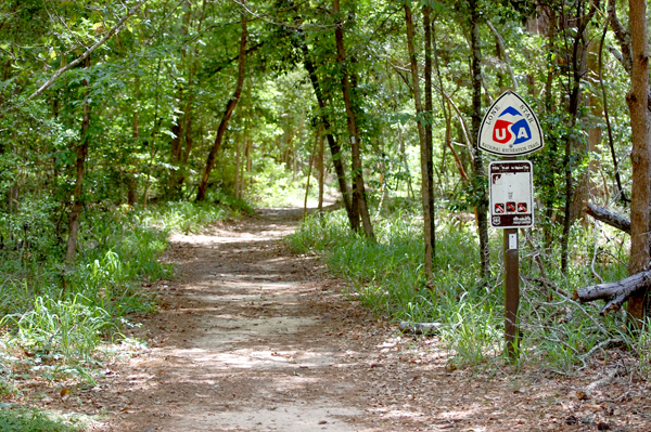 Sam Houston National Forest