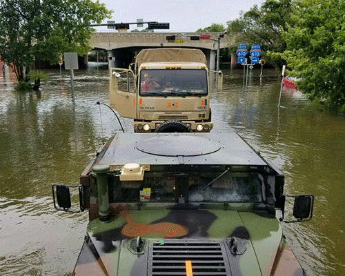 Harvey
